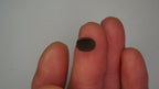 1.9ct Boulder Opal - Pink, Green & Red Pinfire on Blue-Green Host Body Tone