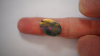 7.9ct Boulder Opal - Multicolour Banding on Dark Base