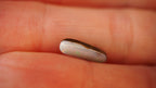 1.3ct Boulder Opal - Pink & Green Pinfire on White Host Body Tone