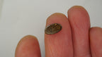 1.3ct Boulder Opal - Electric Green & Blue Fire on Blue Host Body Tone