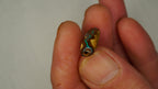 7.4ct Matrix Boulder Opal - Neon Green Fire on Earthy Host Body Tone