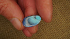 7.1ct Boulder Opal - Blue & Green Play with Concentrated Aqua on Natural Host Body Tone