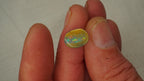 3.2 ct Boulder Opal - Harlequin Colour Band