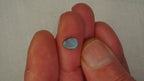 1.4 ct Light Blue Boulder Opal - Multicolour Streaked Play