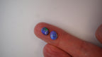 2.5ct Matched Boulder Opal Pair - Neon Green Play on Royal Blue Host Body Tone