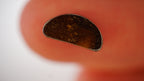 1.8 ct White Boulder Opal - Pink Pinfire Coverage
