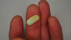 2.8 ct Crystal Opal - Green & Blue Internal Colour Play