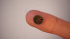 2.2ct Boulder Opal - Green Play on Deep Blue Host Body Tone