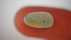 2.3 ct White Boulder Opal - Multicolour Broad Flash Band