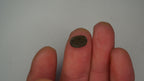 1.6ct Boulder Opal - Green & Blue Play on Warm Host Body Tone