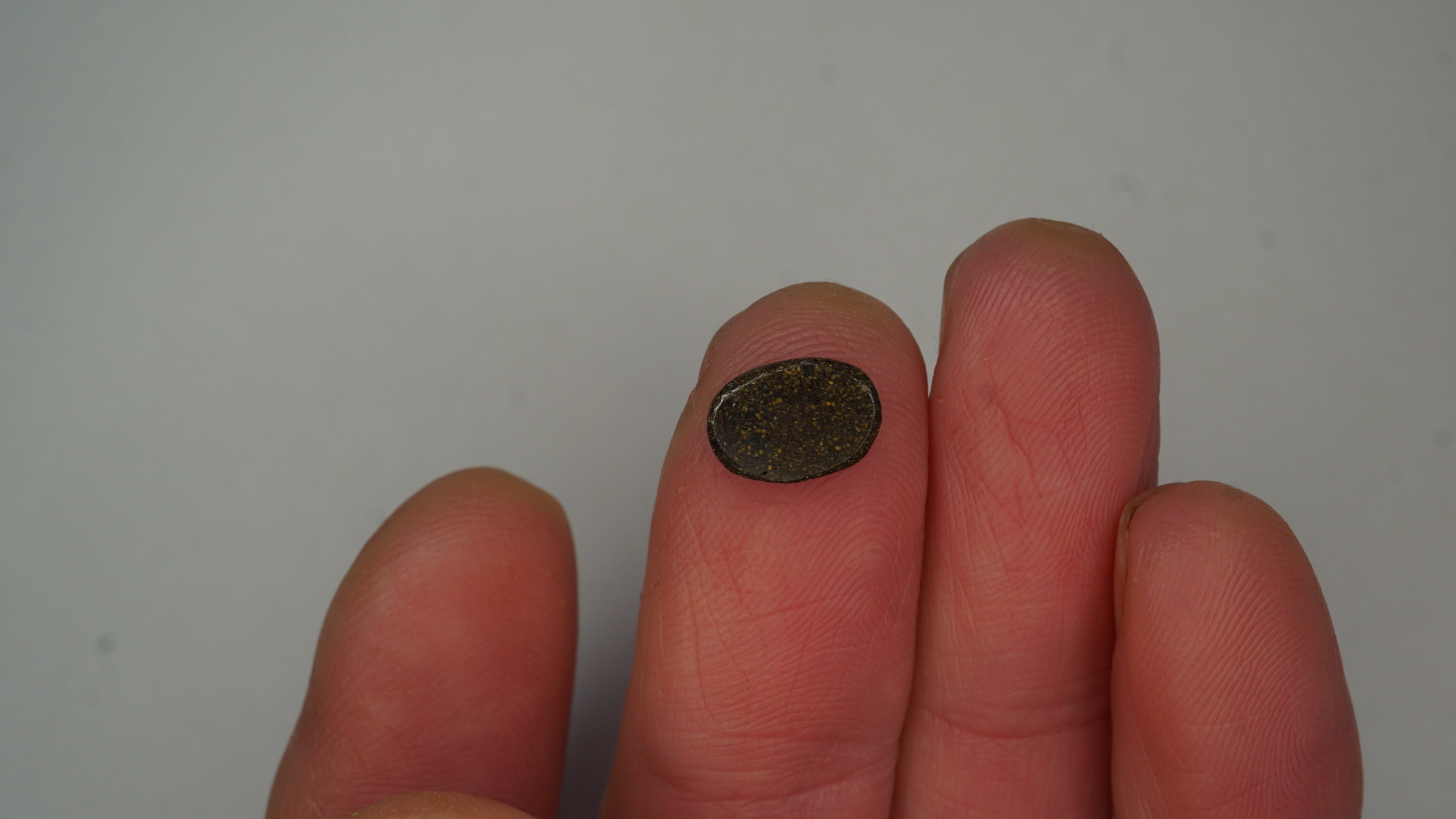 1.6ct Boulder Opal - Green & Blue Play on Warm Host Body Tone