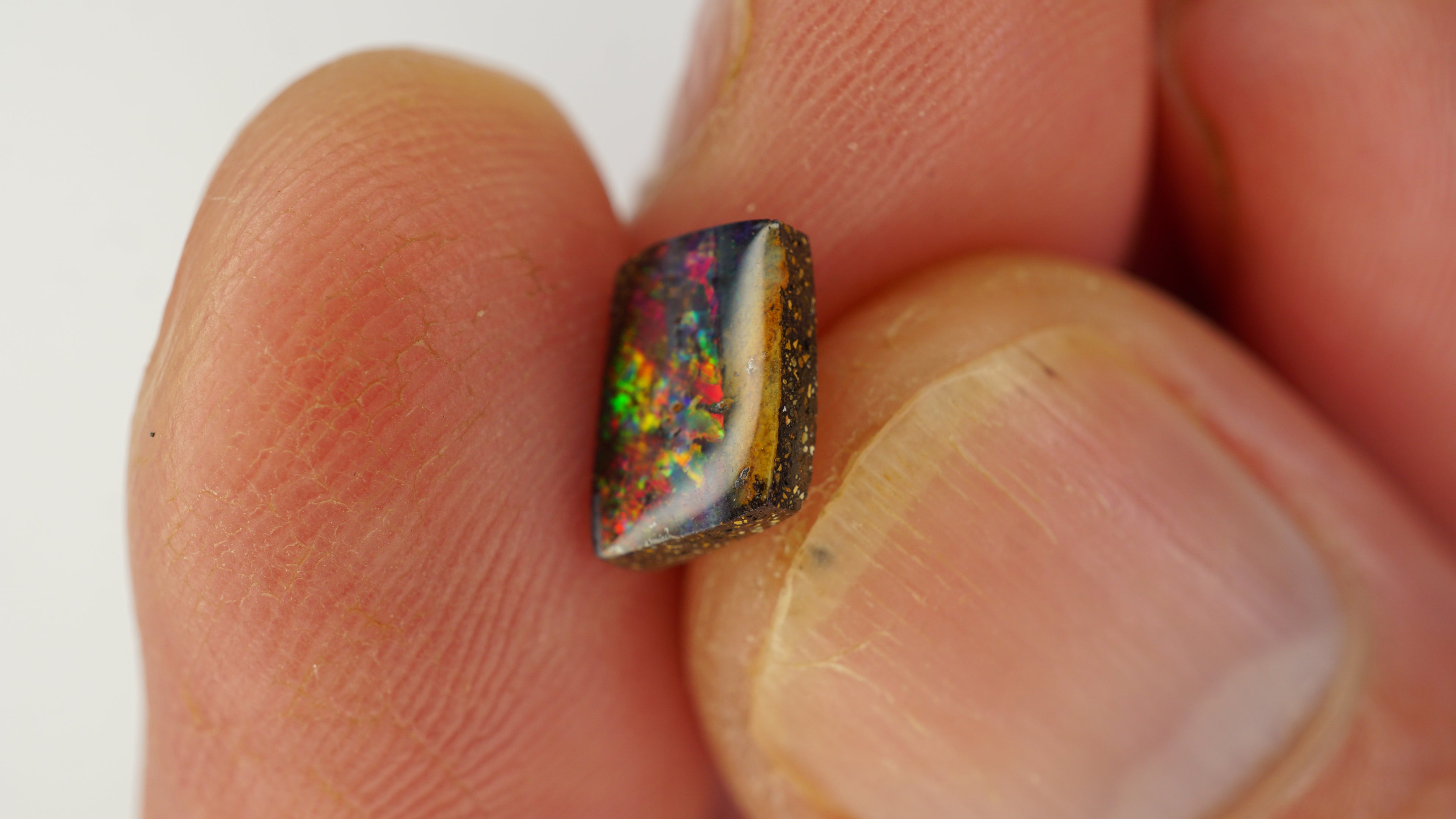 1.4ct Boulder Opal - Multicolour Fire on Dark Brown Base