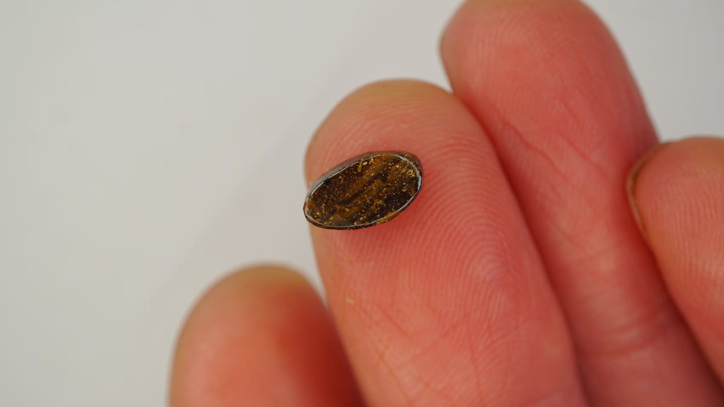 1.2 ct Boulder Opal - Soft Tone with Subtle Colour Play