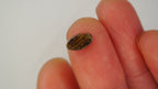 1.2 ct Boulder Opal - Soft Tone with Subtle Colour Play