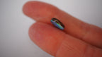 2.7ct Boulder Opal - Neon Green & Electric Blue Play on Blue Host Body Tone