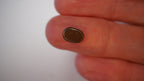 1.3ct Boulder Opal - Neon Green Fire on Deep Blue Base