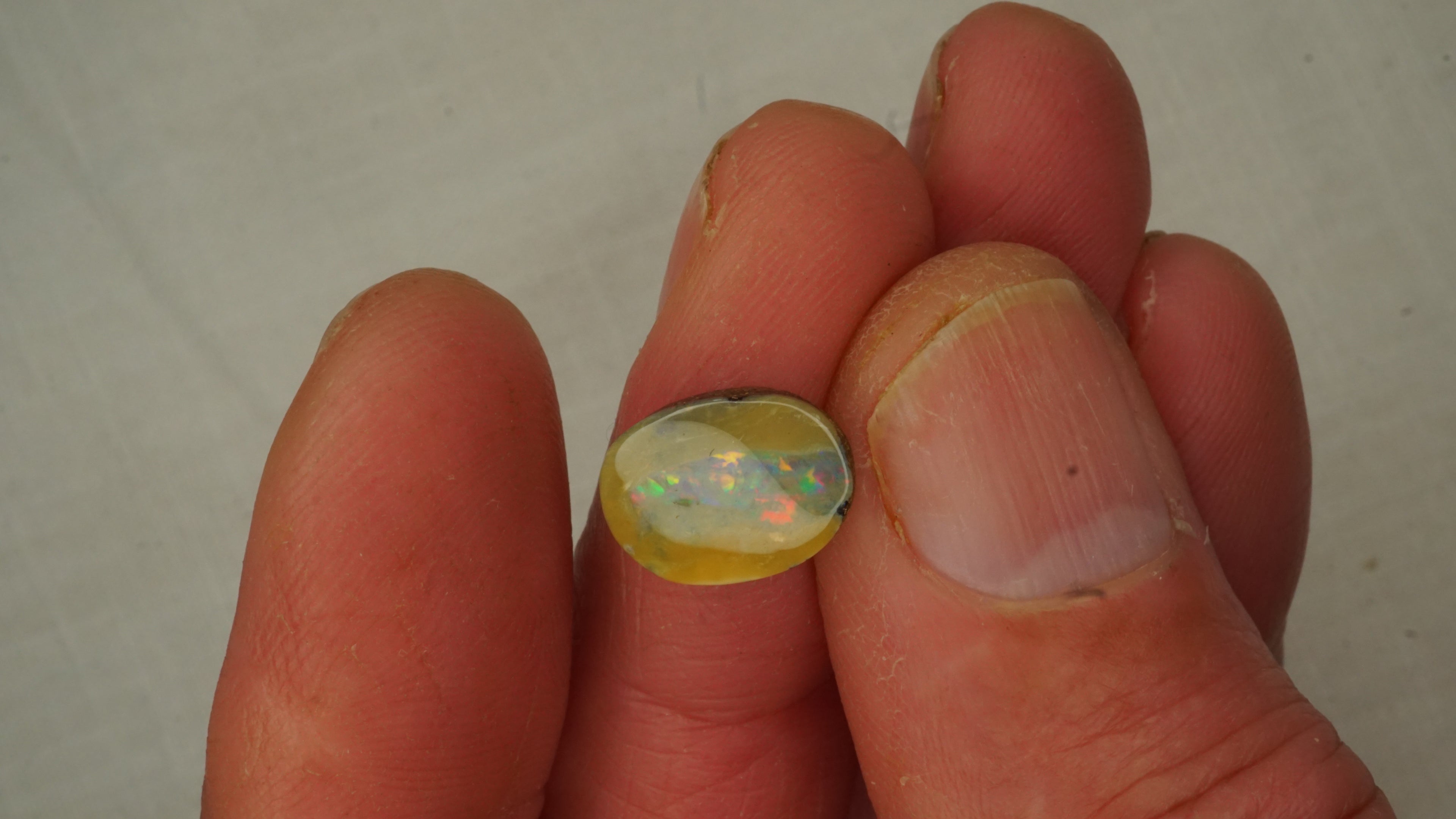 3.2 ct Boulder Opal - Harlequin Colour Band