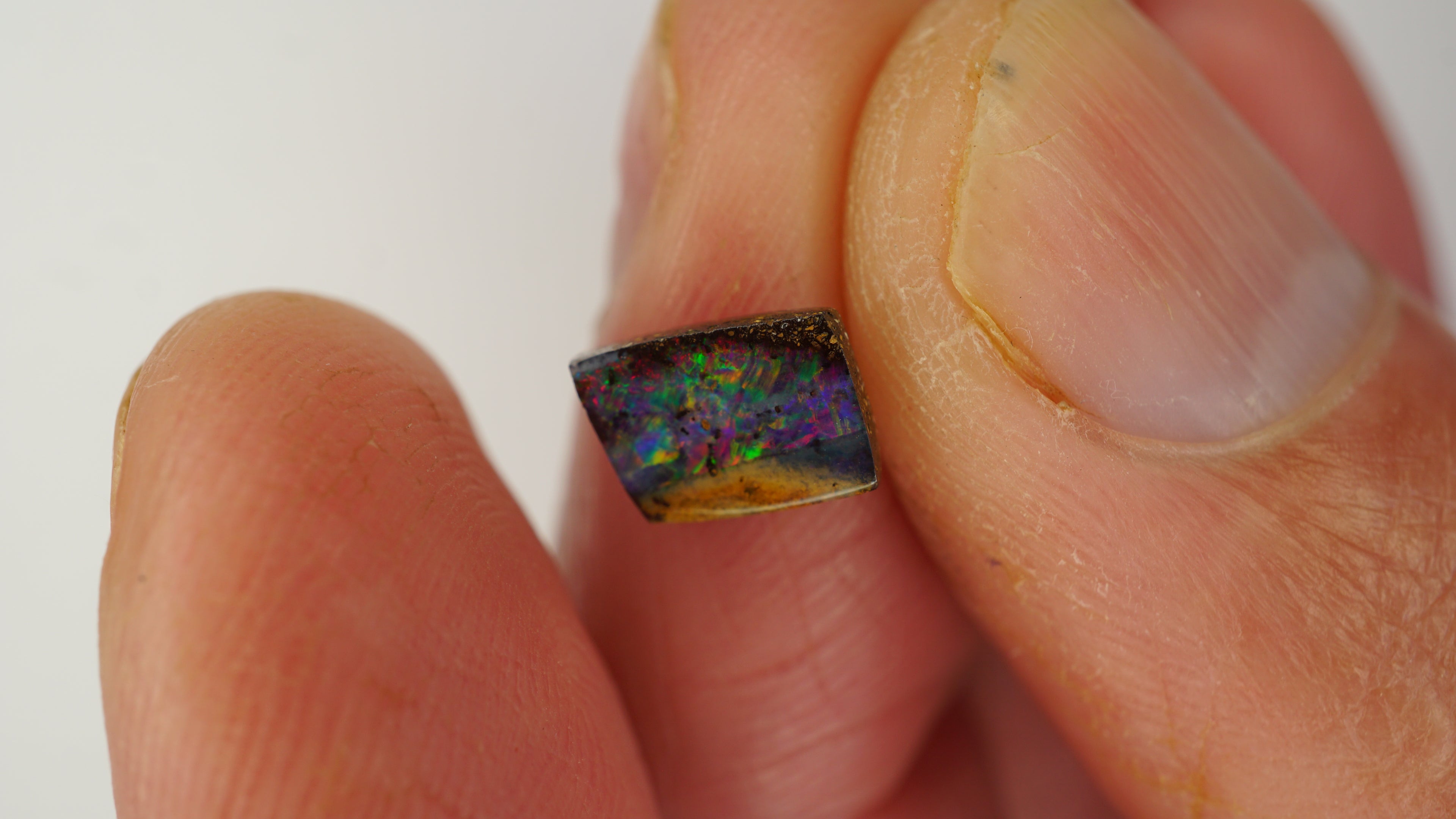 1.4ct Boulder Opal - Multicolour Fire on Dark Brown Base
