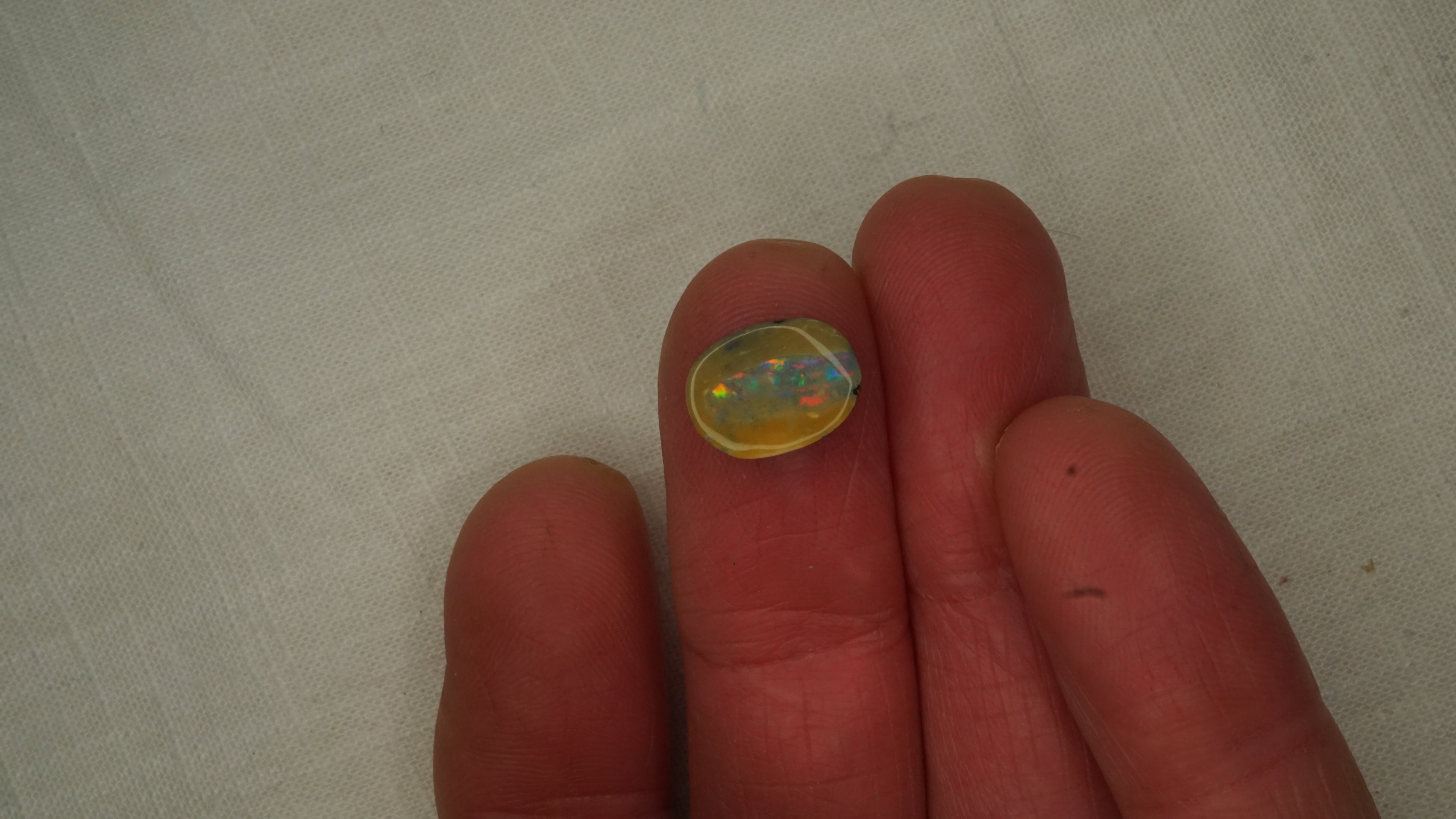 3.2 ct Boulder Opal - Harlequin Colour Band