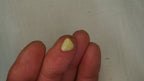 1.1 ct Ochre Opal - Red & Green Colour Play