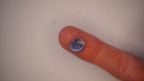 2.3ct Boulder Opal - Crimson & Green Play on Sky Blue Host Body Tone