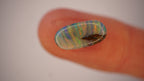 2.4 ct Boulder Opal - Multicolour Linear Colour Banding