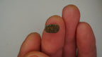 1.5 ct Green Boulder Opal - Green & Blue Pinfire Pattern