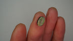 1.6ct Boulder Opal - Green & Blue Play on Warm Host Body Tone