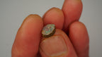 2.2 ct Purple Boulder Opal - Green Pinfire Contrast