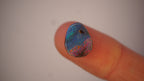 4.7ct Boulder Opal - Broad Bands of Pink & Green Pinfire on Blue Host Body Tone