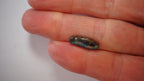 3.6 ct Boulder Opal - Multicolour Pinfire Ribbon in Clear Opal
