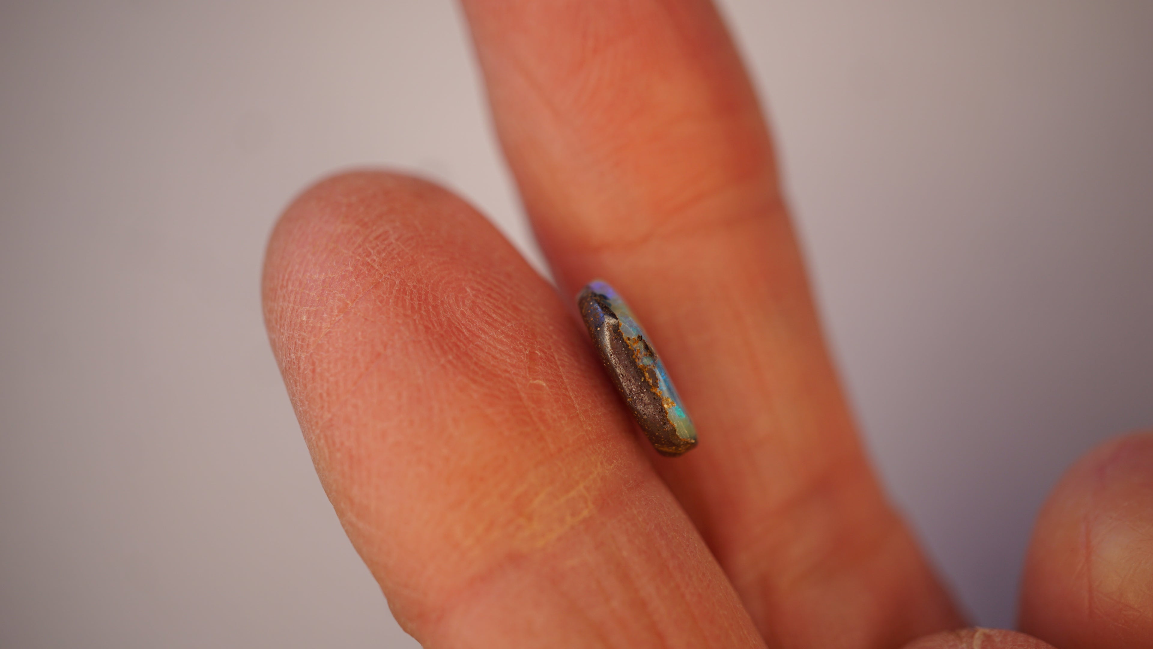 2.5ct Boulder Opal - Electric Green Sash on Blue Base