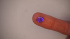1.2 ct Purple Boulder Opal - Neon Blue / Periwinkle Flash