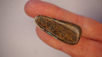 33.4 ct Boulder Opal - Multicolour Banded Flash