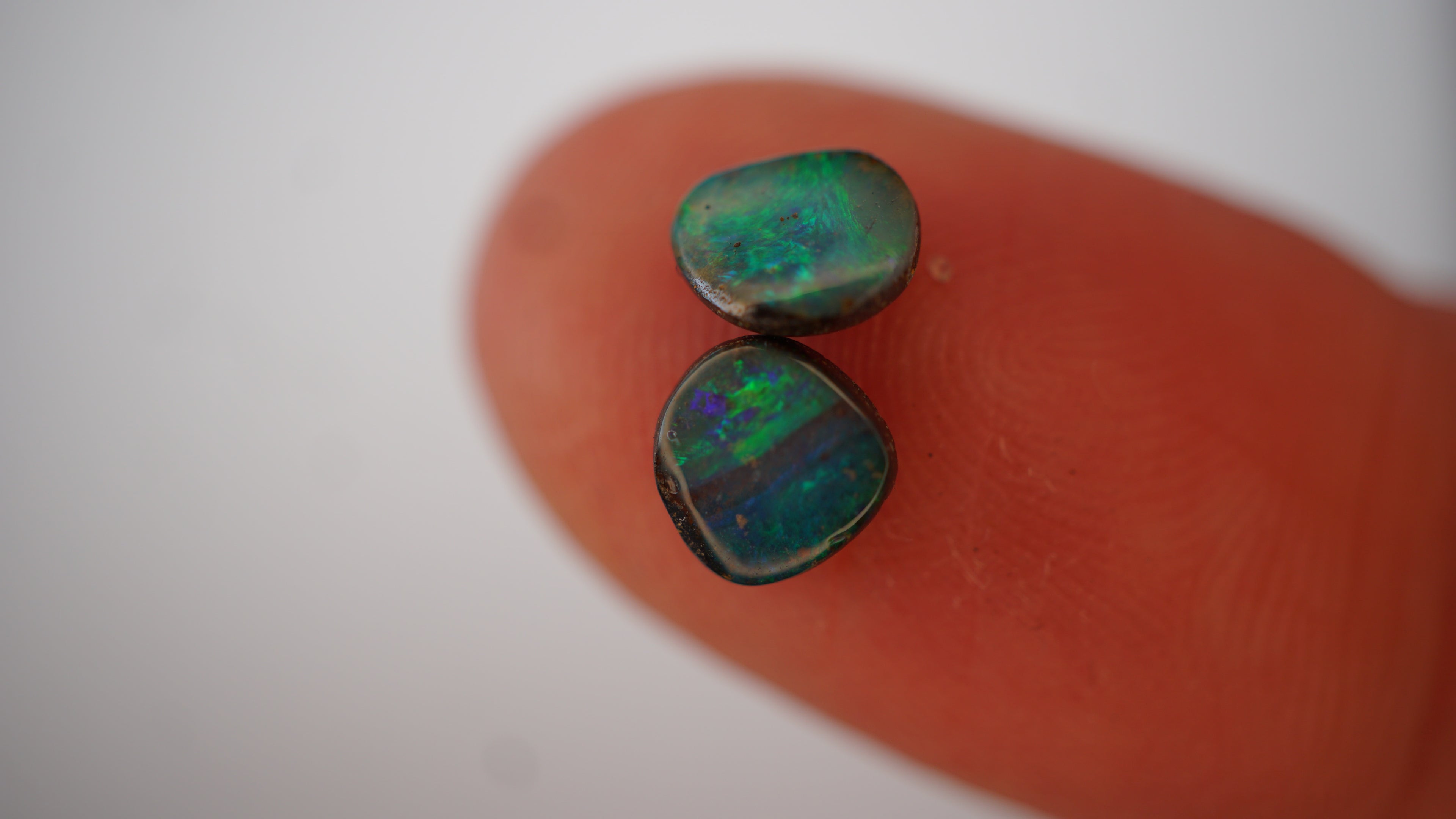 Forest Flicker - 1ct Pair