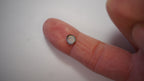 0.7ct Boulder Opal - Green & Pink Play on Pale Green Host Body Tone