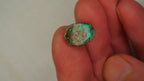 3.1ct Matrix Boulder Opal - Broad Plate of Bright Green Play