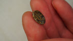 3.1ct Matrix Boulder Opal - Broad Plate of Bright Green Play