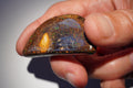 167.4ct Koroit Boulder Opal Specimen (Half Moon) — Nebula Drift