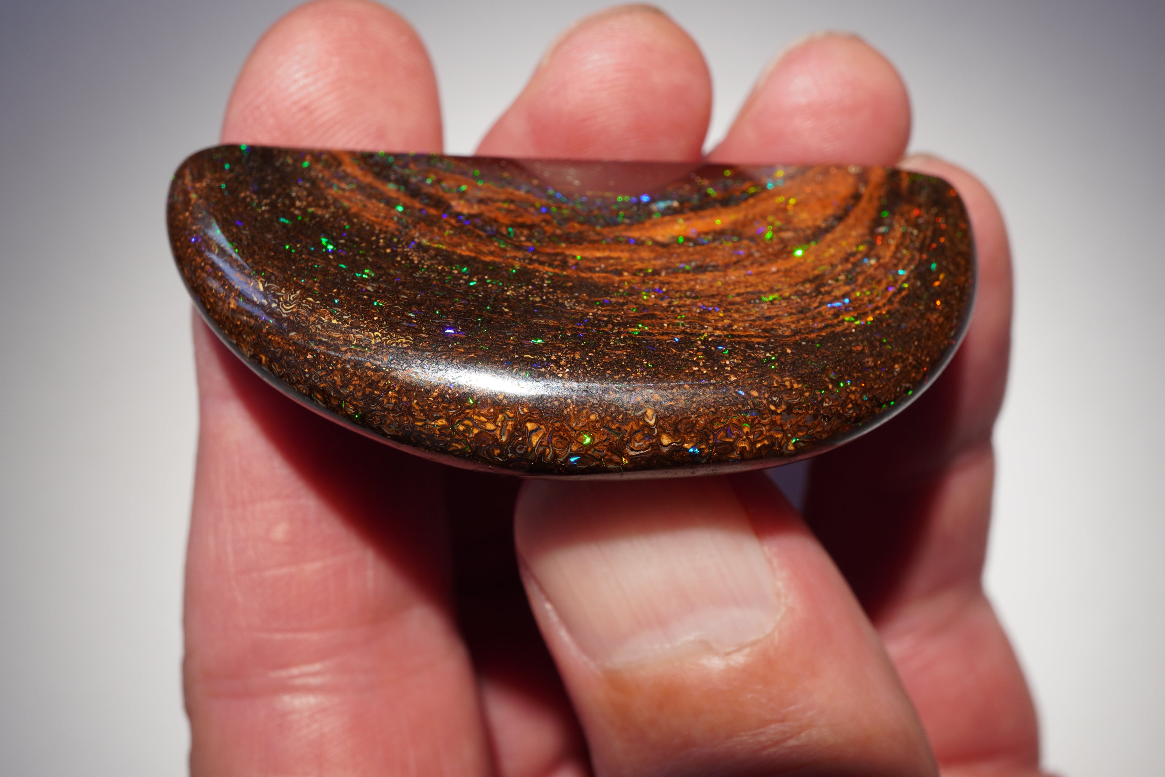 167.4ct Koroit Boulder Opal Specimen (Half Moon) — Nebula Drift