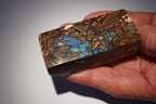 387ct Ironstone Boulder Opal Matrix — Blue & Green Embedded Opal