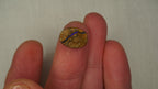 3.6ct Indigo Blue Boulder Opal