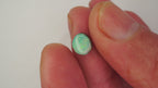 1.6 ct Green Boulder Opal - Multicolour Pinfire Play